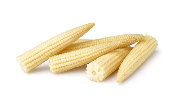 白色背景的玉米罐头堆肥 — 图库照片
