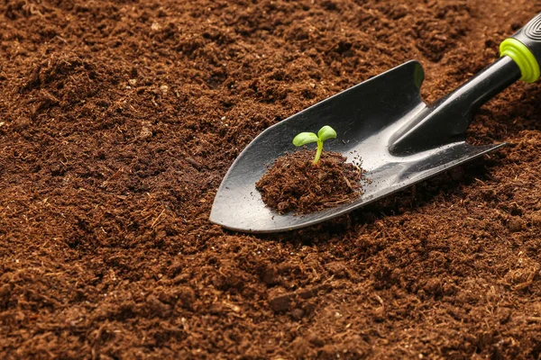 Shovel Heap Soil Green Seedling Outdoors — Stock Photo, Image