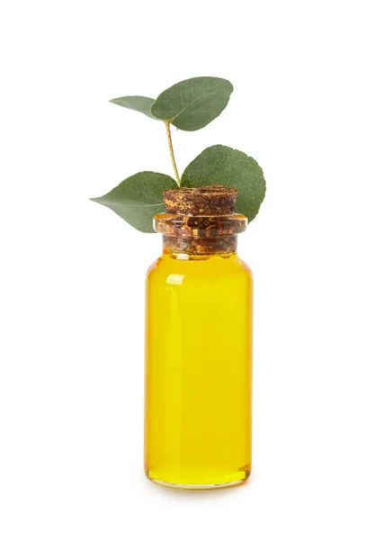 Bottle Cosmetic Oil Eucalyptus Branch White Background — Stock Photo, Image
