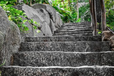 Eğlence parkındaki güzel adımların görüntüsü, yakın çekim