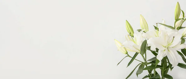 Gyönyörű Liliom Virágok Fény Háttér Helyet Szöveges — Stock Fotó