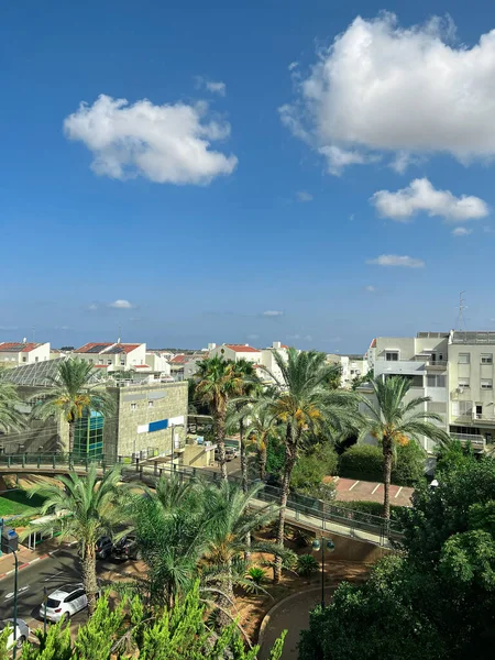 Beautiful View City Palm Trees — Stock Photo, Image