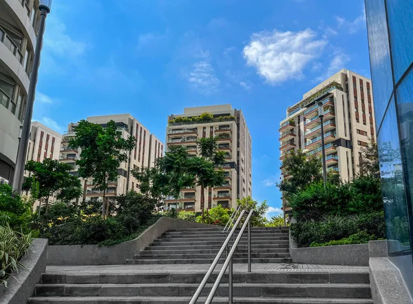 View Steps Green Trees Multi Storey Buildings City — Stock Photo, Image