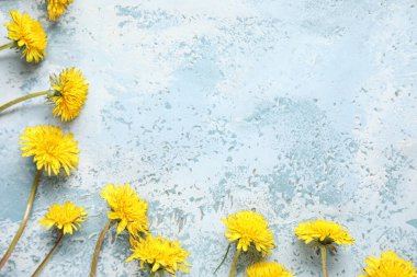 Mavi arkaplanda güzel karahindibalar