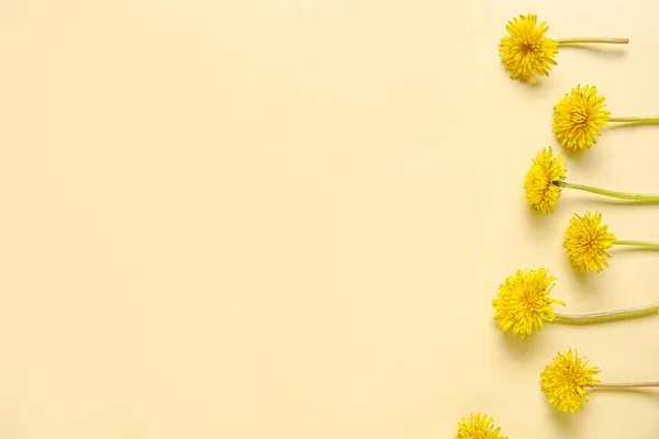 Bright Yellow Dandelions Light Background — Stock Photo, Image