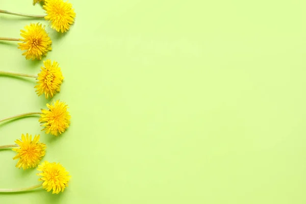 Bright Dandelions Light Green Background — Stock Photo, Image