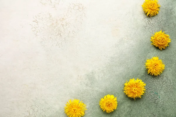 stock image Bright dandelions on grey grunge background