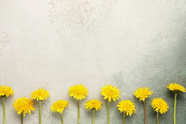 stock image Bright dandelions on grey grunge background