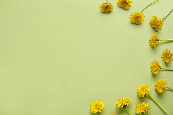 Bright Dandelions Light Green Background — Stock Photo, Image