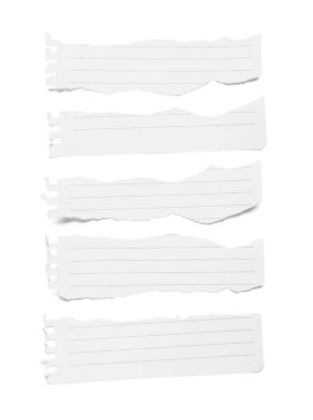 Defter kâğıdının yırtık parçaları beyaz arkaplanda izole edilmiş