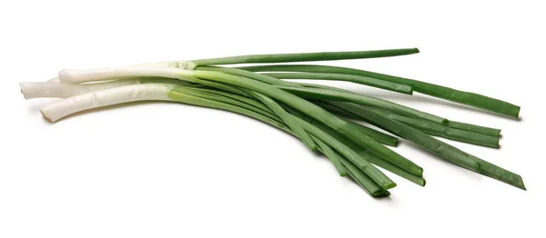 Fresh Green Onion Isolated White Background — Stock Photo, Image