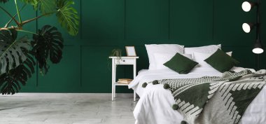 Rahat yatak, modern lamba, komodin ve yeşil duvarın yanındaki canavar bitkisi.