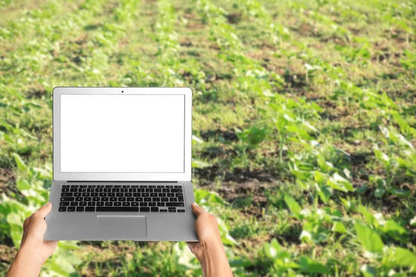 Farmer with laptop in green field. Banner for design