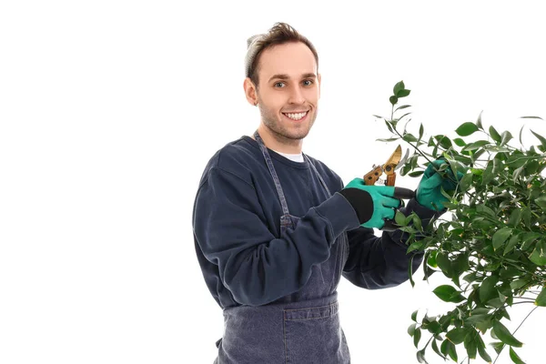 Jardinero Masculino Cortando Ramas Plantas Con Tijeras Podar Sobre Fondo — Foto de Stock