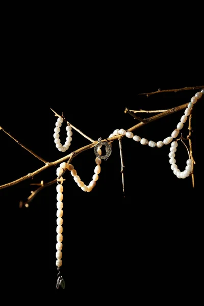 Tree Branch Pearl Jewelry Black Background — Stock Photo, Image