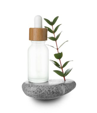 Beyaz zemin üzerinde okaliptüs dalı ve taş olan bir şişe kozmetik yağı.