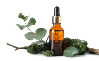 Bir şişe kozmetik yağı, yosun, okaliptüs ve beyaz arka planda dal.