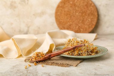 Kaşık ve tabak, grunge masasında filizlenmiş buğday.