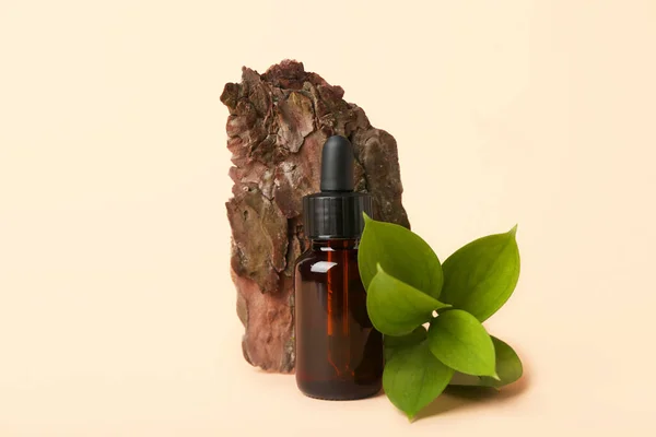 Bottle Cosmetic Oil Plant Twig Tree Bark Beige Background — Stock Photo, Image