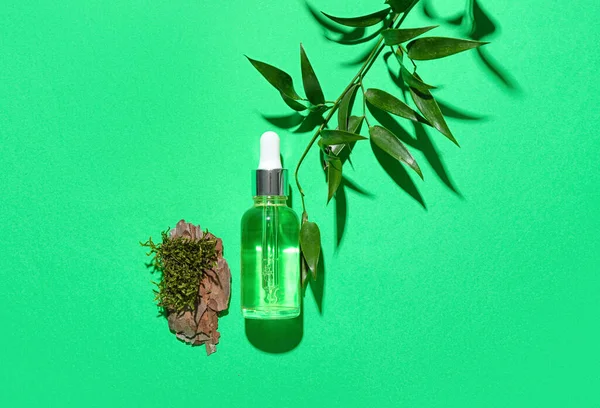 Bottle Cosmetic Oil Eucalyptus Twig Tree Bark Moss Green Background — Stock Photo, Image