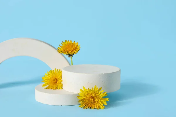 stock image Decorative podiums with dandelion flowers on blue background