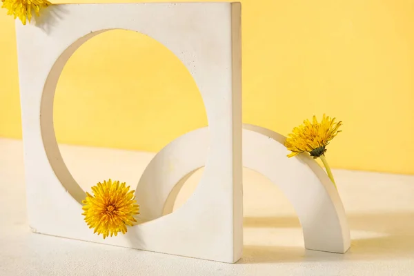 Decorative Podiums Dandelion Flowers Yellow Background — Stock Photo, Image