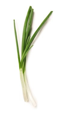Beyaz arkaplanda taze yeşil soğan izole edildi