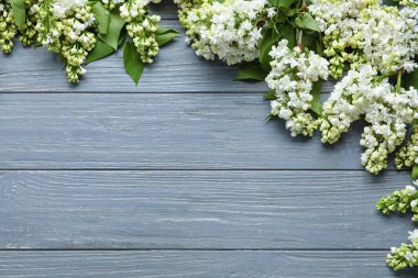 Gri ahşap arka planda çiçek açan leylak çiçekleri