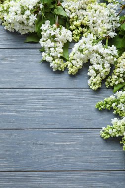 Gri ahşap arka planda çiçek açan leylak çiçekleri