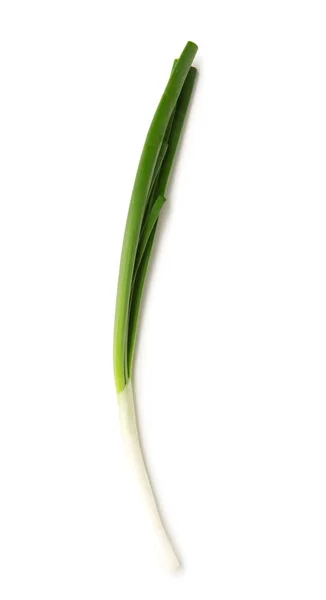 Зеленый Лук Изолирован Белом Фоне — стоковое фото
