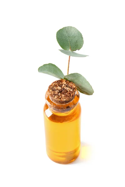 Bottle Cosmetic Oil Eucalyptus Branch White Background — Stock Photo, Image