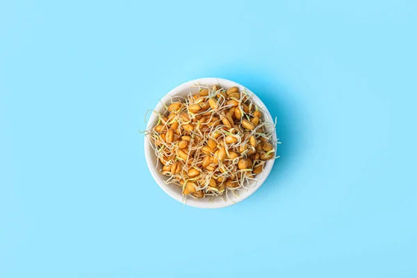 Bowl Sprouted Wheat Light Blue Background — Stock Photo, Image