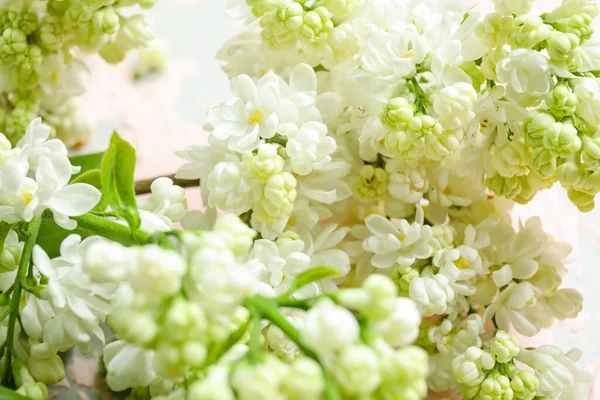 Цветущие Сиреневые Цветы Качестве Фона Крупным Планом — стоковое фото