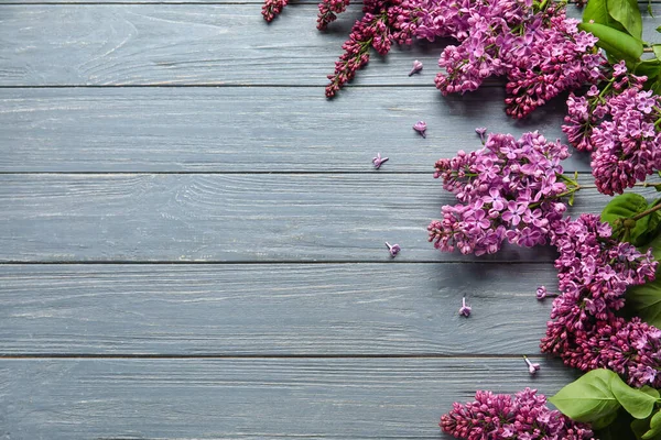 Blooming Lilac Flowers Grey Wooden Background — Stock Photo, Image