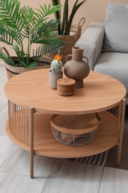 Kahve masası vazo, kaktüs ve kitap oturma odasında sepette.