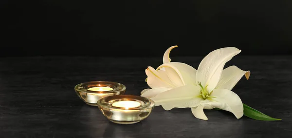 Beautiful white lily flowers and candles on dark background with space for text