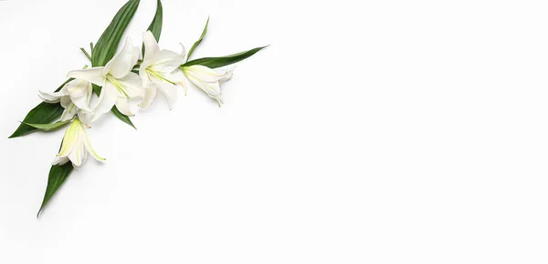 Composition Avec Belles Fleurs Lys Sur Fond Blanc Avec Espace — Photo