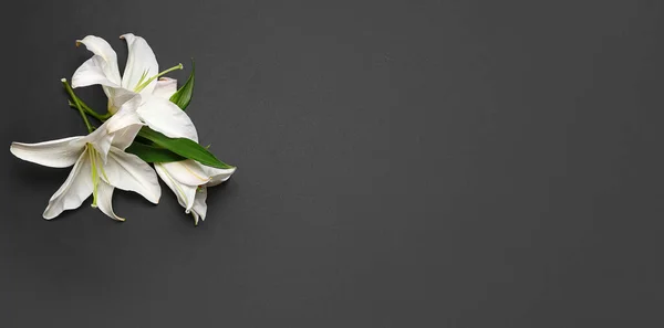 白いユリの花の暗い背景でテキストのためのスペース — ストック写真