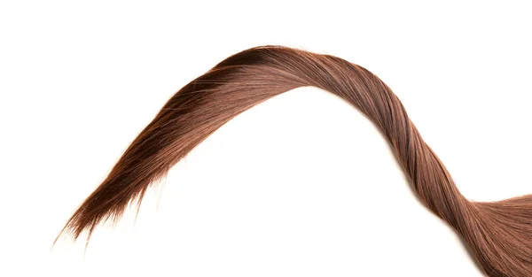Brown Hair Strand White Background — Stock Photo, Image
