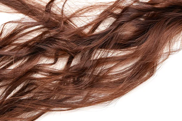 Tangled Brown Hair White Background — Stock Photo, Image