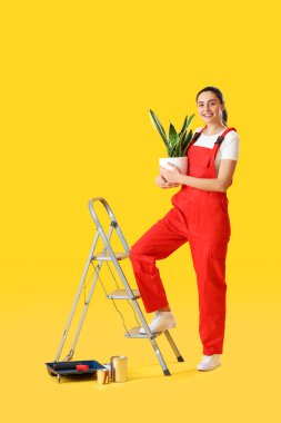 Young woman with houseplant, ladder and paint cans on yellow background