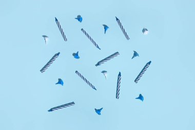 doğum günü mumları mavi zemin üzerine