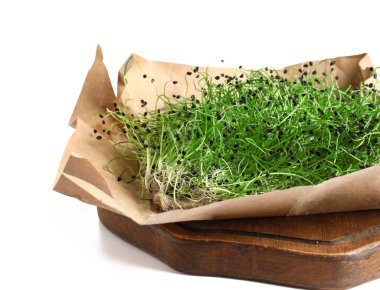 Tahta tahta tahta, beyaz arka planda taze mikro yeşil, yakın plan.