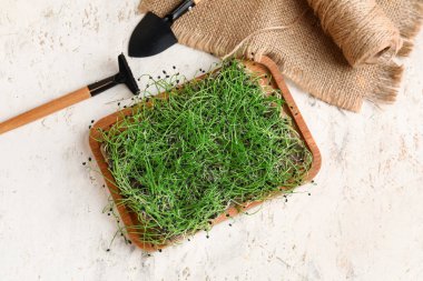 Tahta tahta tahta, taze mikro yeşil ve arka planda tırmık.