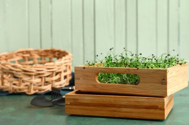 Masada taze mikro yeşil ahşap kutular var.