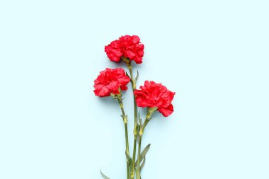 Açık mavi arkaplanda kırmızı karanfiller