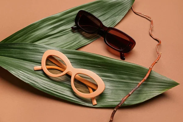 Óculos Sol Elegantes Com Folhas Palmeira Galho Árvore Fundo Marrom — Fotografia de Stock
