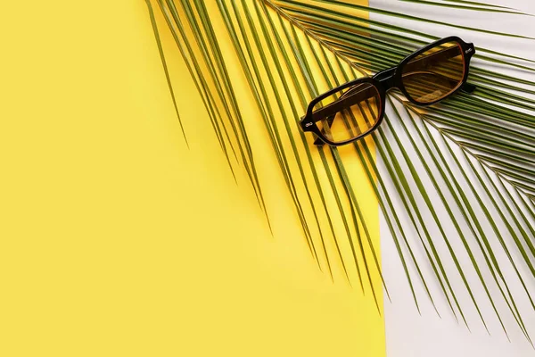 Occhiali Sole Eleganti Con Foglia Palma Sfondo Colore — Foto Stock