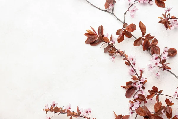 stock image Beautiful blossoming branches on light background