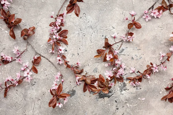 Piękne Gałęzie Kwitnących Tle Grunge — Zdjęcie stockowe